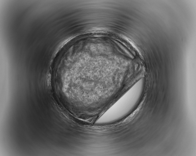 X0000096441066200802141447