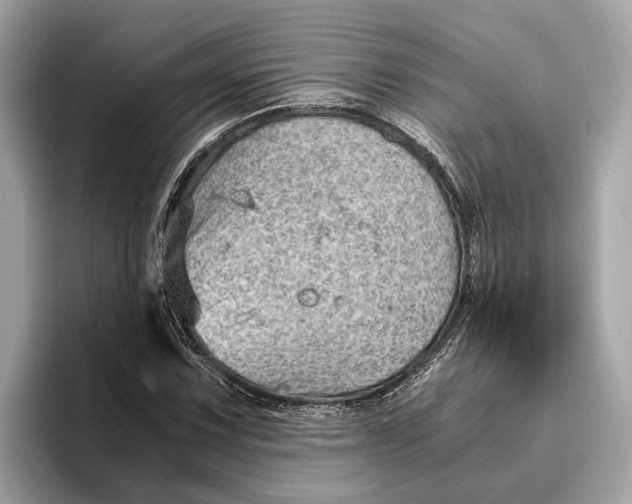 X0000096441067200802141447