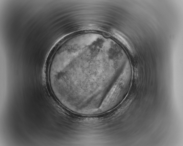 X0000096441068200802141447