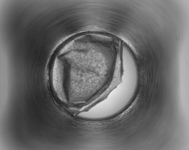 X0000096441070200802141447