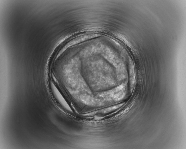 X0000096441071200802141447