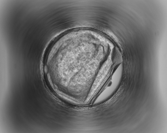 X0000096441072200802141447