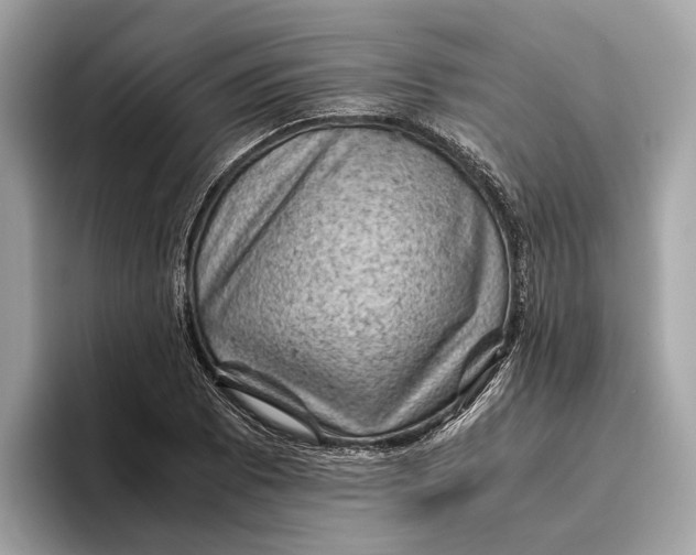 X0000096441073200802141447