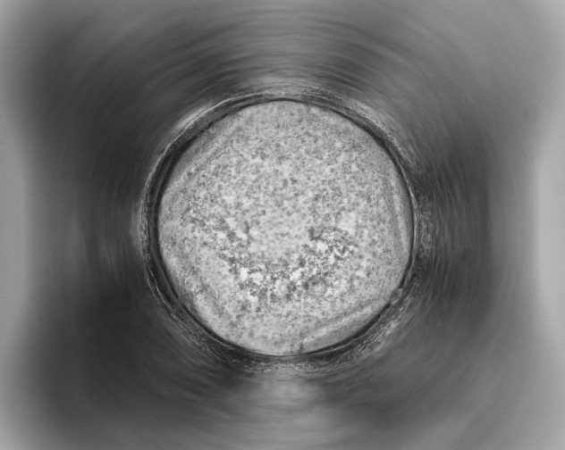 X0000096441074200802141447