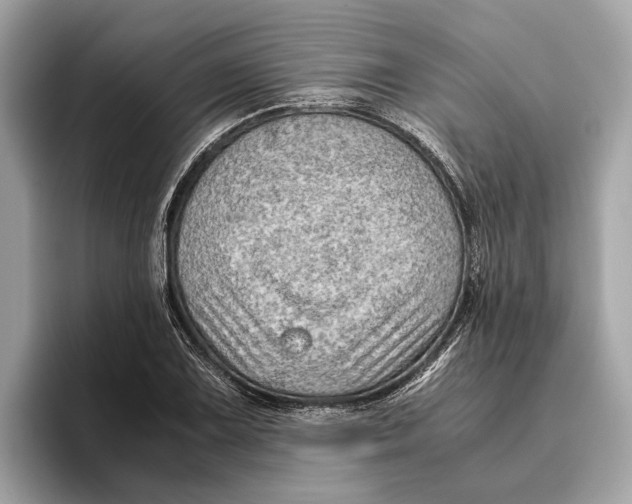 X0000096441075200802141447