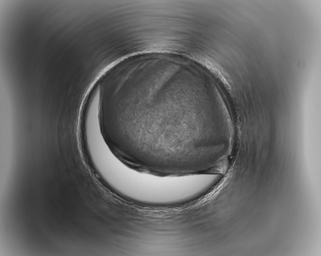 X0000096441077200802141447