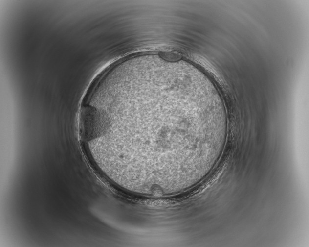 X0000096441079200802141447