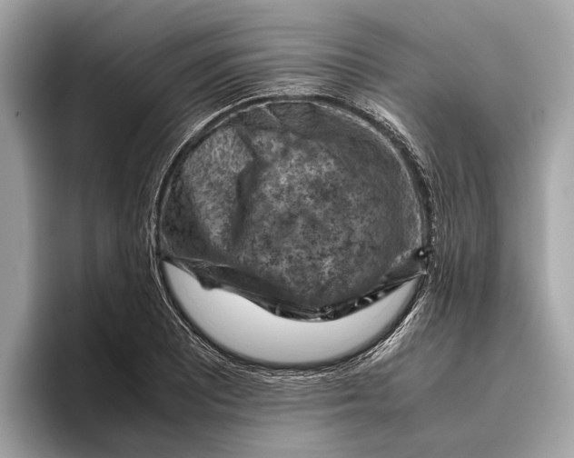 X0000096441081200802141447