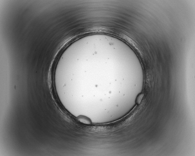 X0000096441082200802141447