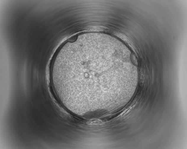 X0000096441083200802141447