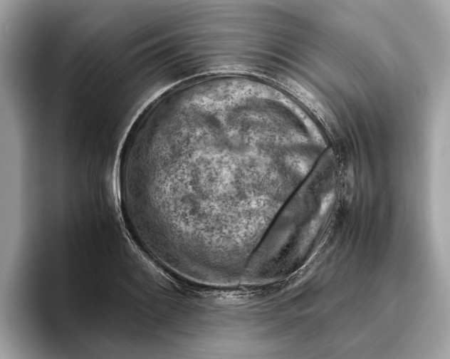 X0000096441084200802141447