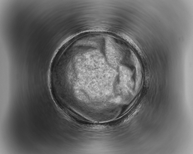 X0000096441085200802141447