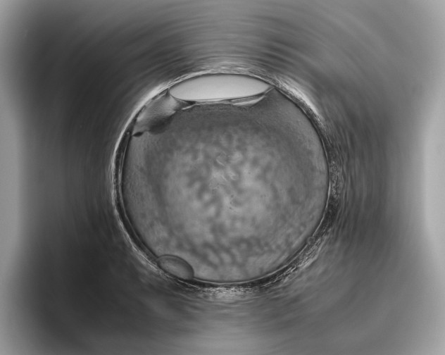 X0000096441087200802141447