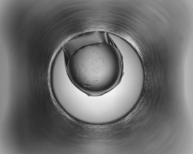 X0000096441088200802141447