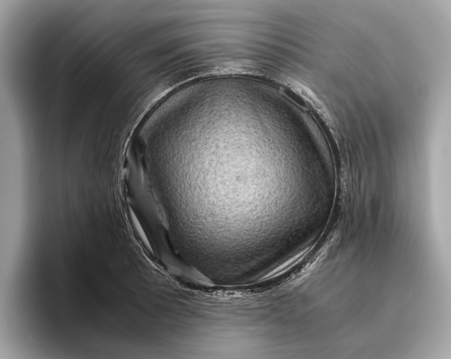 X0000096441089200802141447