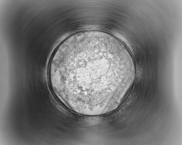 X0000096441090200802141447