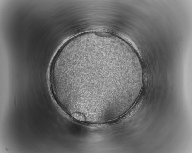 X0000096441091200802141447