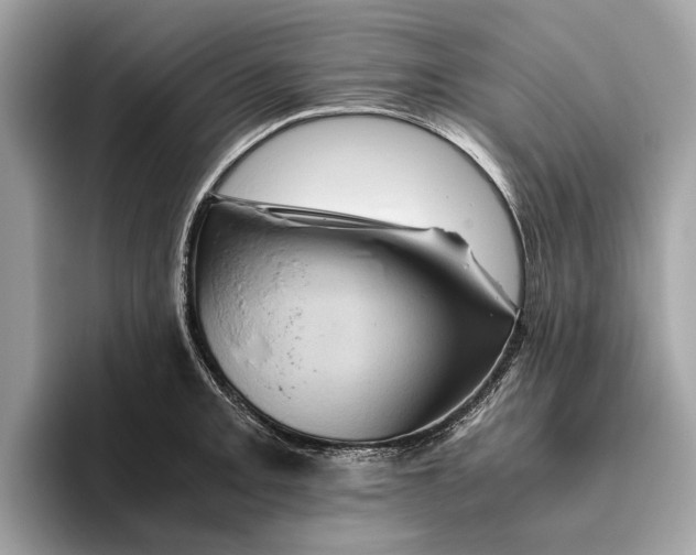 X0000096441093200802141447