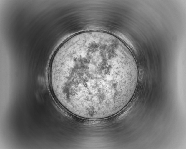 X0000096441094200802141447