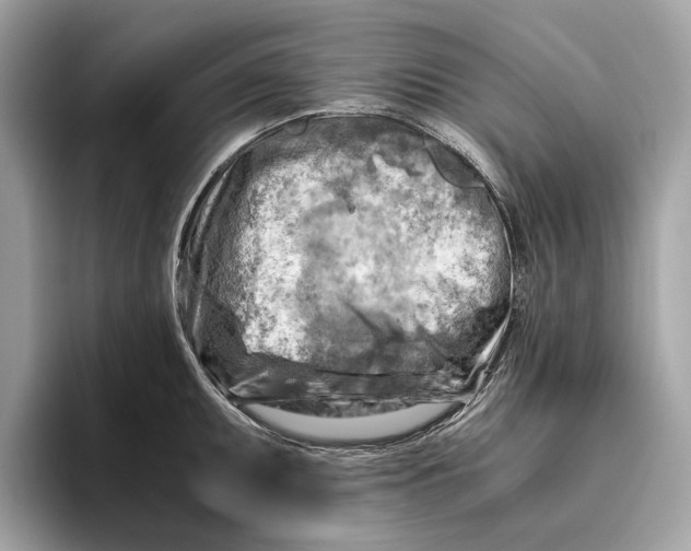 X0000096441095200802141447