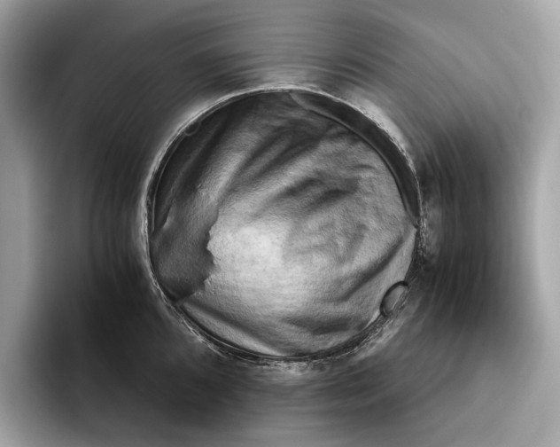 X0000096441096200802141447