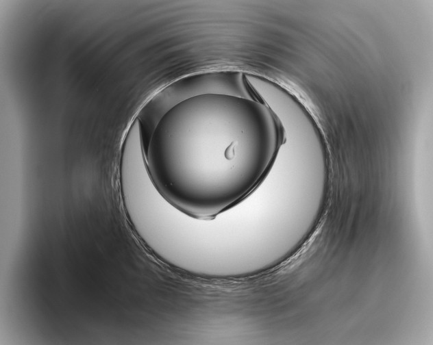 X0000096441097200802141447