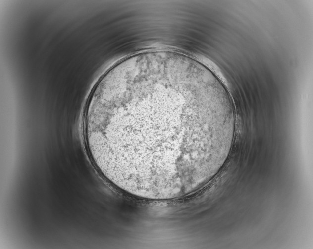 X0000096441098200802141447