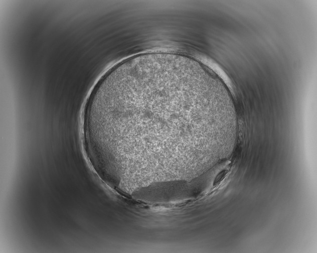 X0000096441099200802141447