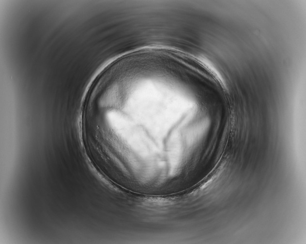 X0000096441100200802141447