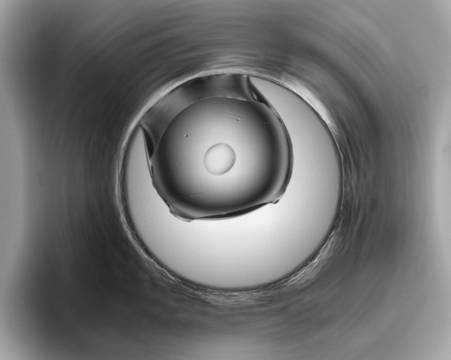 X0000096441101200802141447