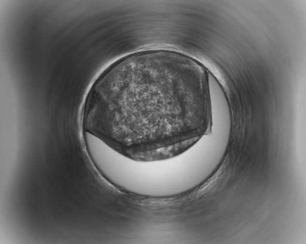 X0000096441102200802141447