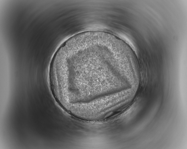 X0000096441103200802141447