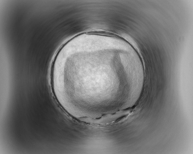 X0000096441104200802141447