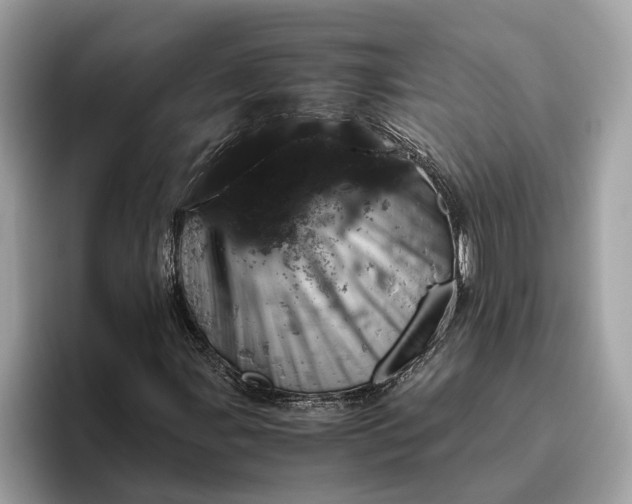 X0000096441107200802141446