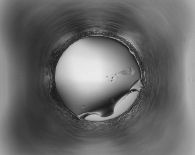 X0000096441111200802141446