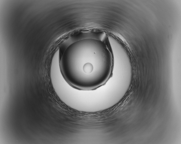 X0000096441112200802141446