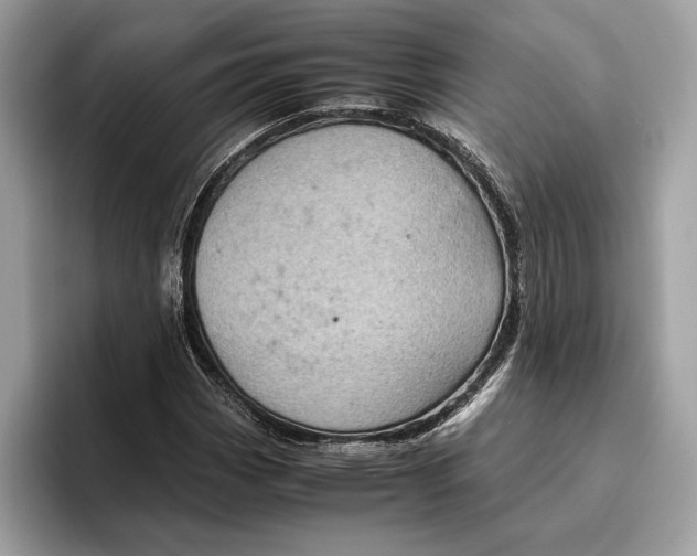 X0000096441113200802141446