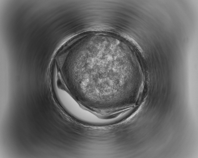 X0000096441114200802141446