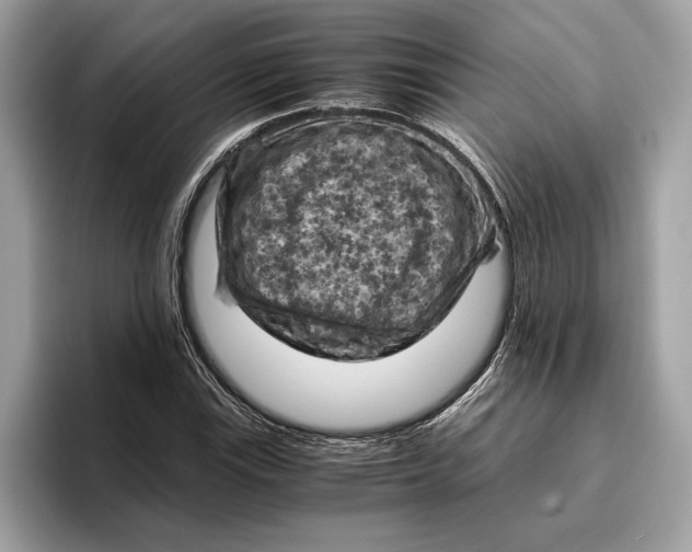 X0000096441115200802141446