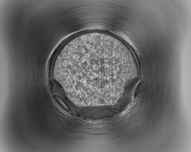 X0000096441116200802141446