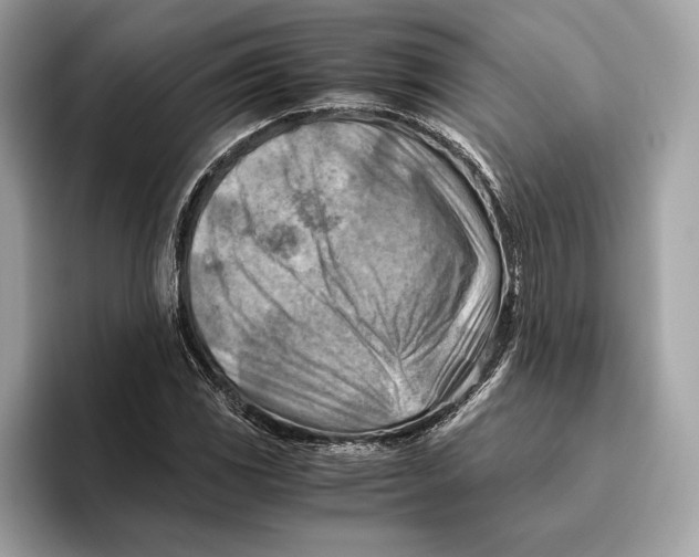 X0000096441117200802141446