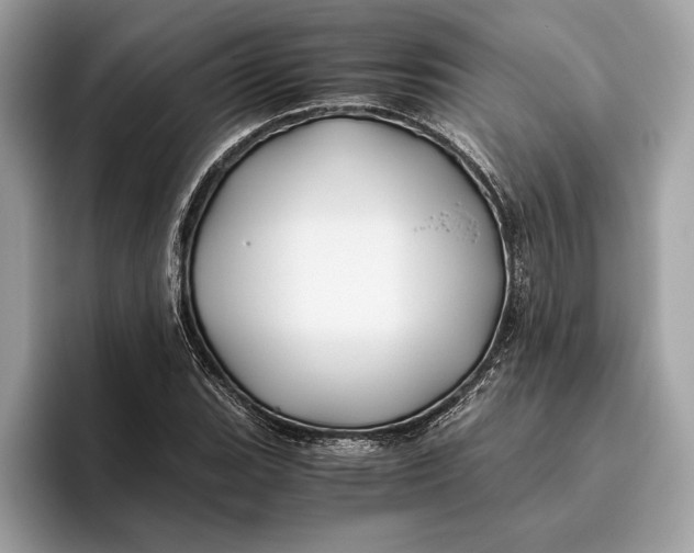 X0000096441119200802141446