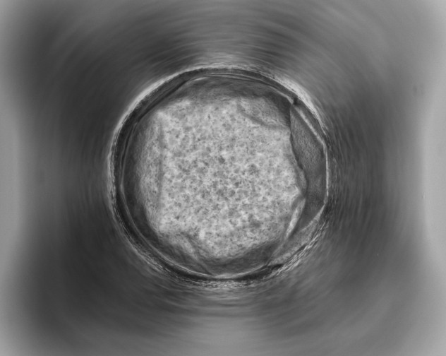 X0000096441120200802141446