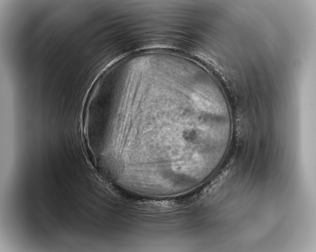 X0000096441121200802141446