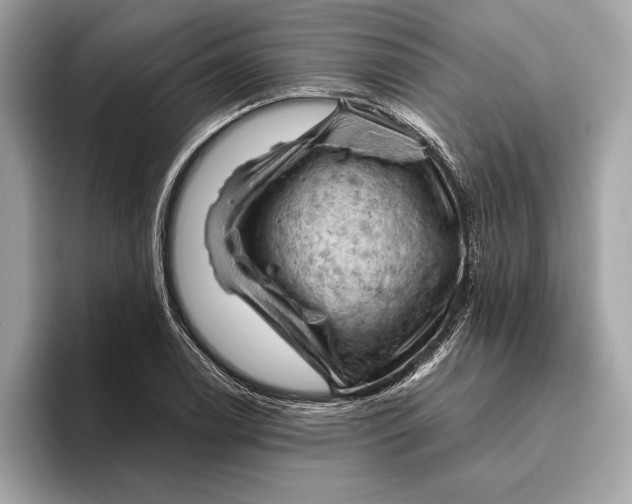 X0000096441122200802141446