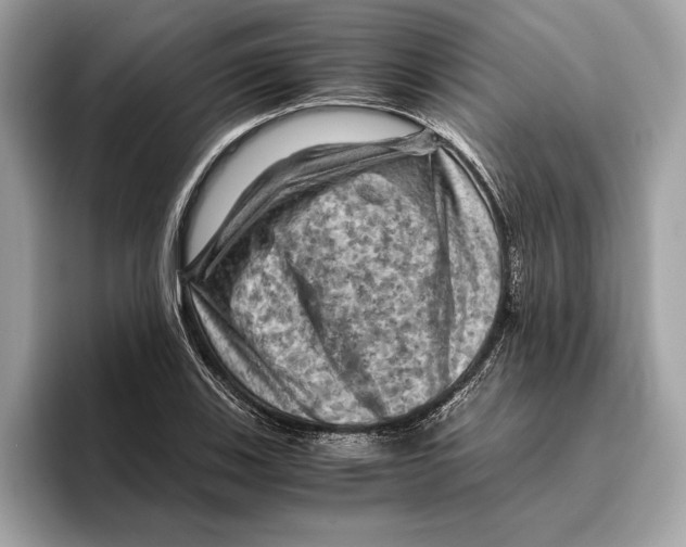 X0000096441123200802141446