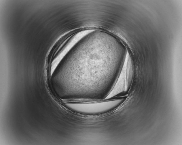 X0000096441124200802141446