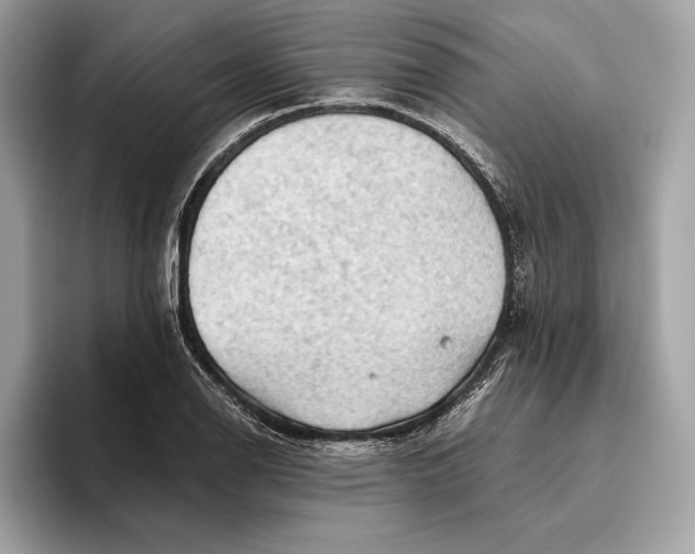 X0000096441126200802141446