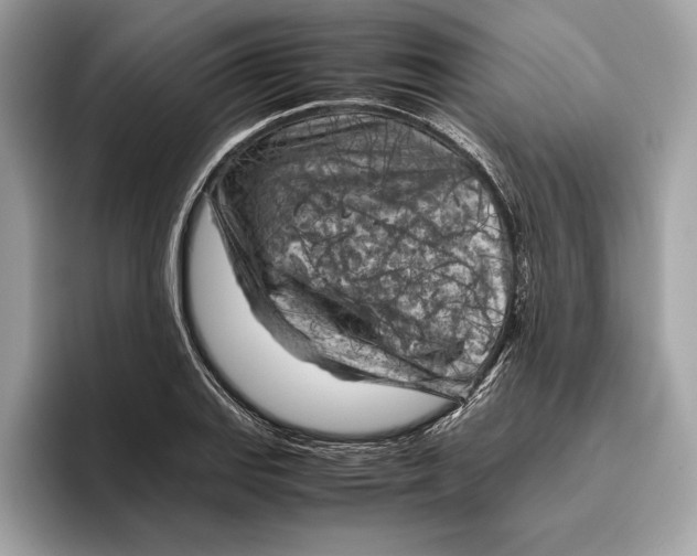 X0000096441127200802141446