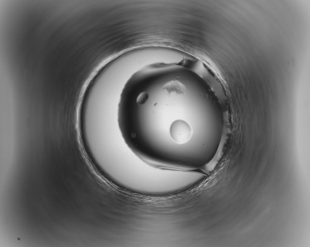 X0000096441128200802141446